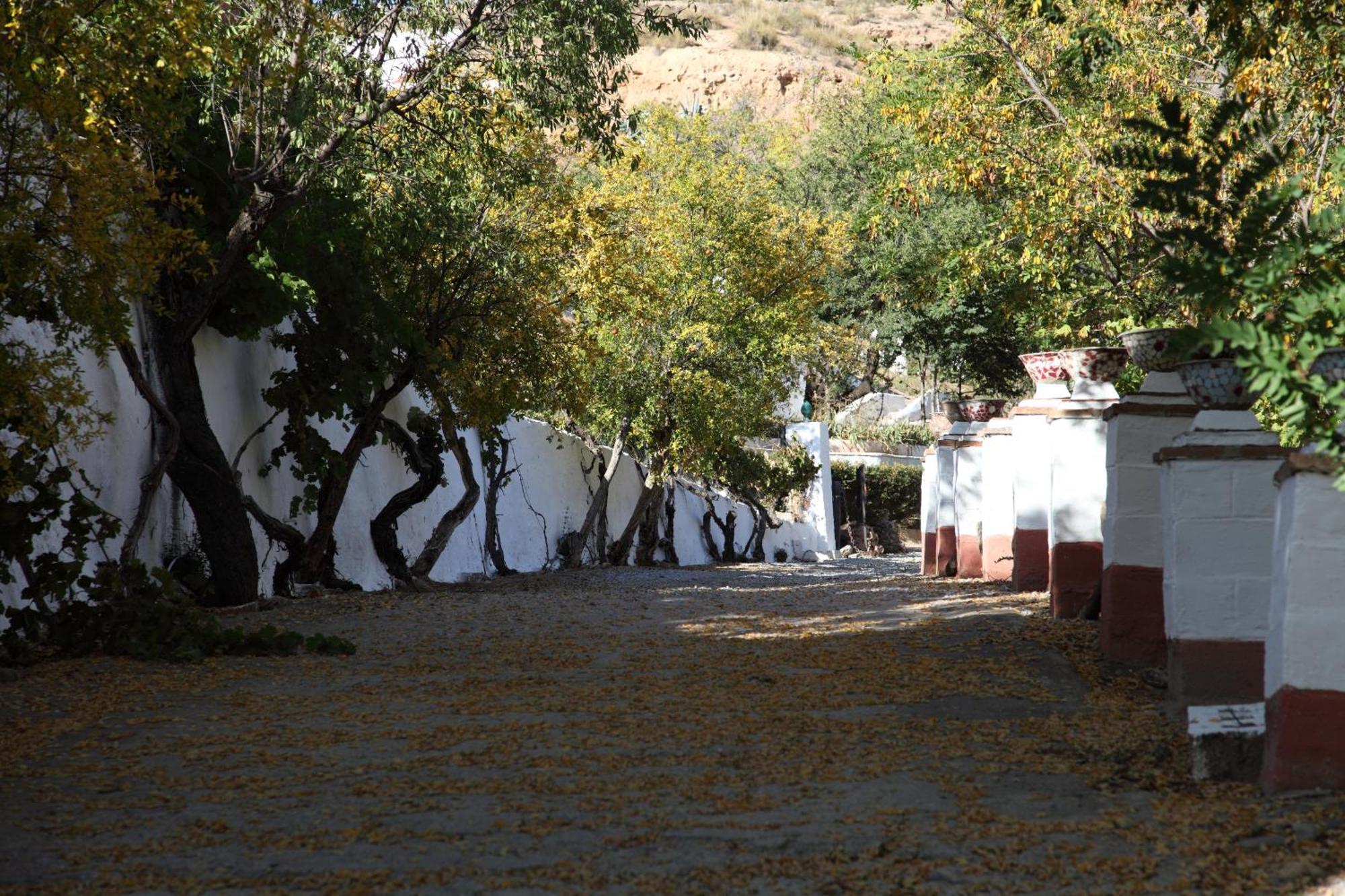 Casas Cueva Y Cortijo La Tala En Guadix Hotel Стая снимка